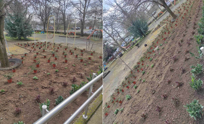 garden 3