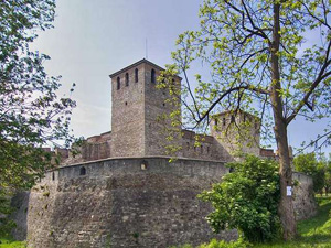 vidin